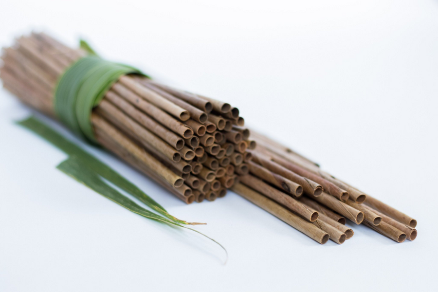 Leafy Straw - Coconut Palm Leaf Drinking Straws